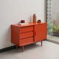 RI100 Sideboard Cam
