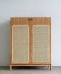 Jukebox Shoes Cabinet / Tủ giày Jukebox